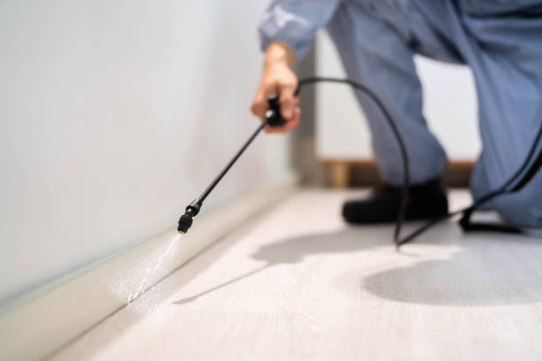 Licensed Pest Control service in Collinsville, TX - Show Me Pest Control