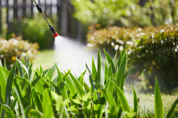 24/7 Emergency Mosquito Control experts in Collinsville, TX