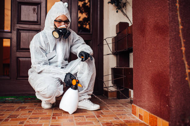 Reliable Mosquito Control contractor in Collinsville, TX by Show Me Pest Control
